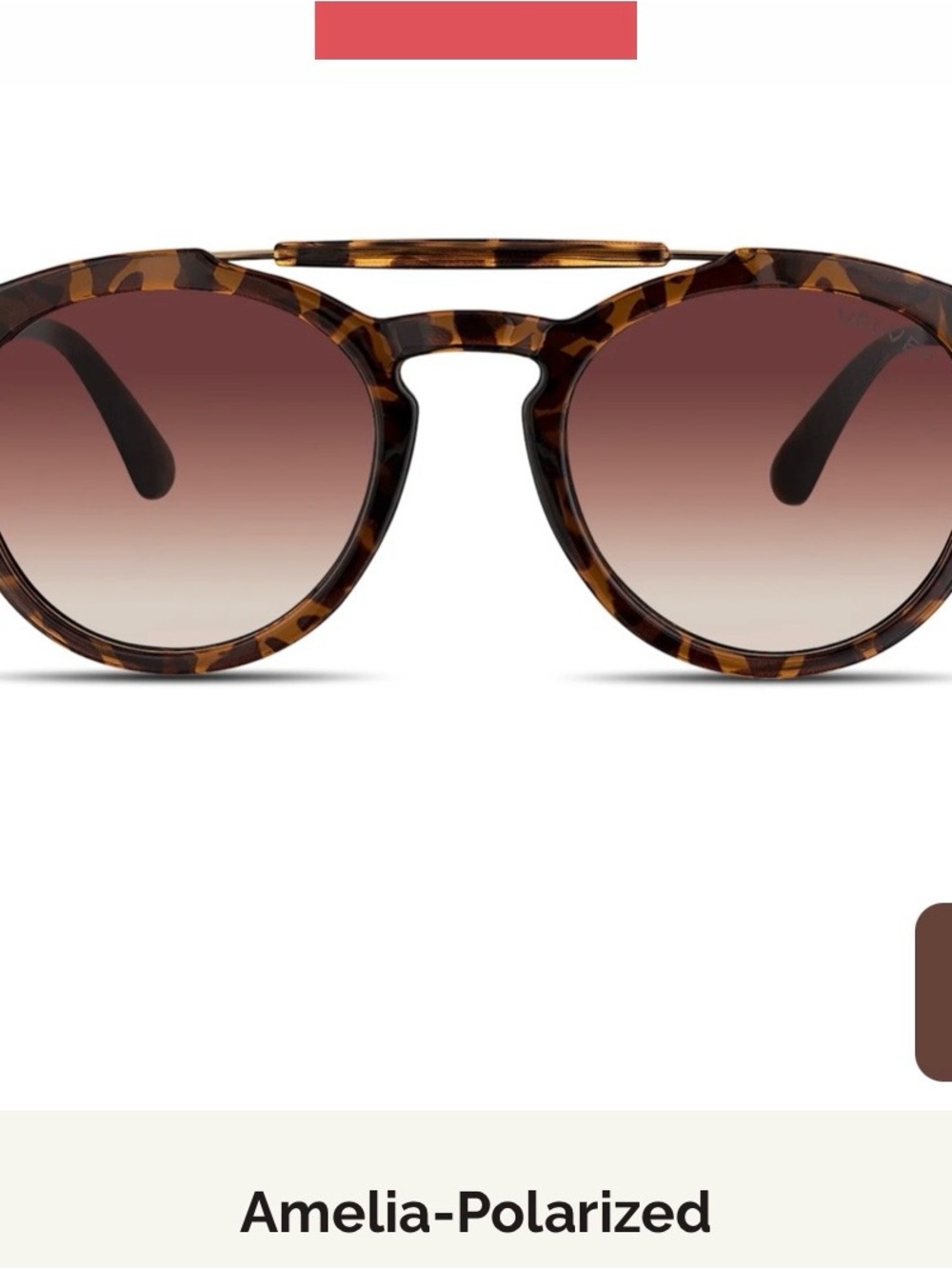 Velvet Tortoiseshell Round Sunglasses with Brown Gradient Lenses nwt amelia